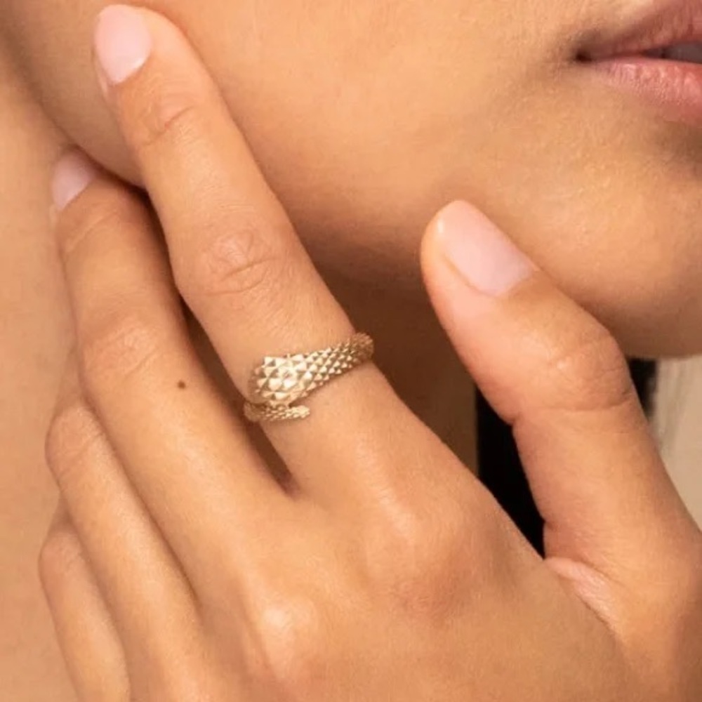 🐍 Mejuri 14K Gold Snake Ring